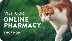 online pharmacy