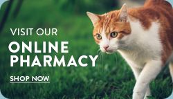 online pharmacy button